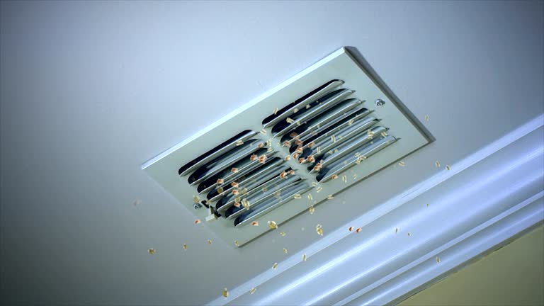Best Affordable Air Duct Cleaning  in Gorevle, IL