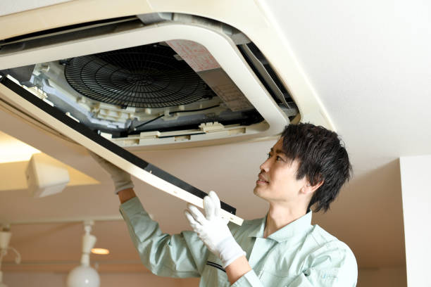 Best HVAC Air Duct Cleaning  in Gorevle, IL