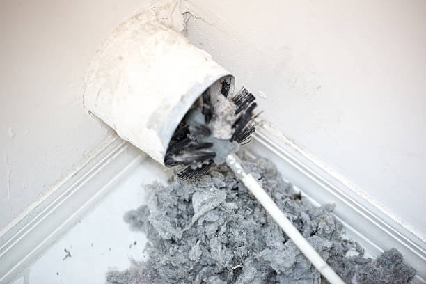 Best Local Air Duct Cleaning Services  in Gorevle, IL